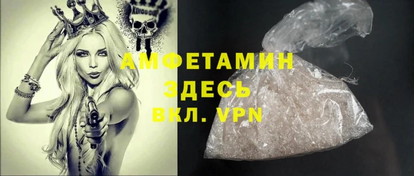 прущие грибы Вязьма
