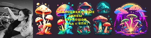 мет Вяземский