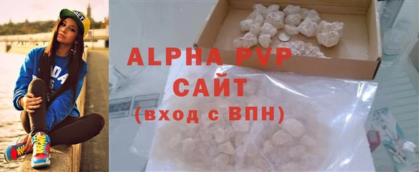 прущие грибы Вязьма
