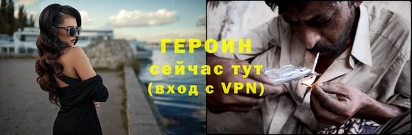 прущие грибы Вязьма
