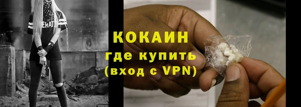 прущие грибы Вязьма