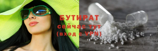 прущие грибы Вязьма