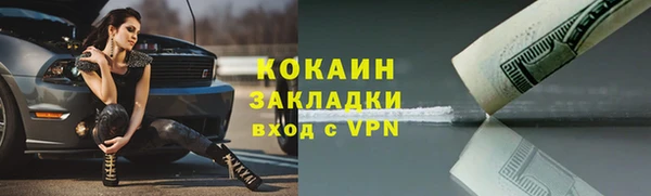прущие грибы Вязьма