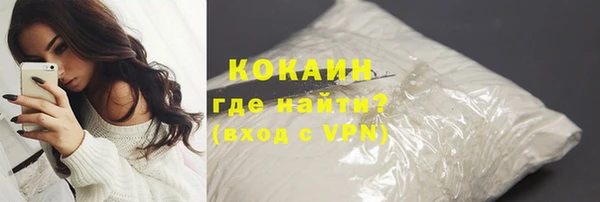 прущие грибы Вязьма