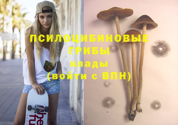 мет Вяземский
