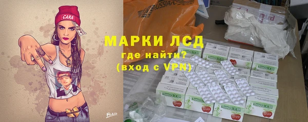 прущие грибы Вязьма
