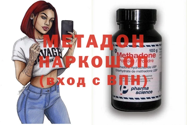 прущие грибы Вязьма
