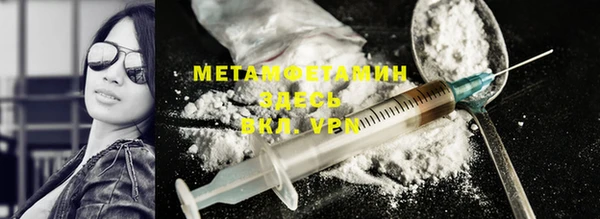 прущие грибы Вязьма