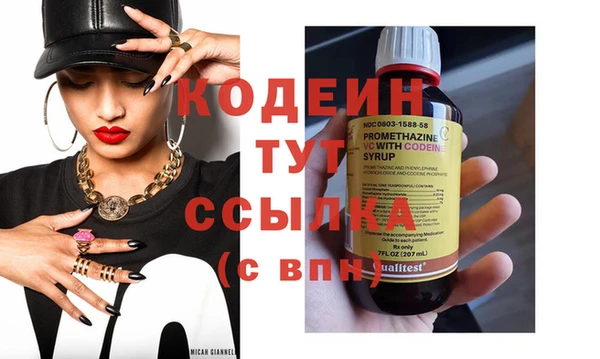 прущие грибы Вязьма