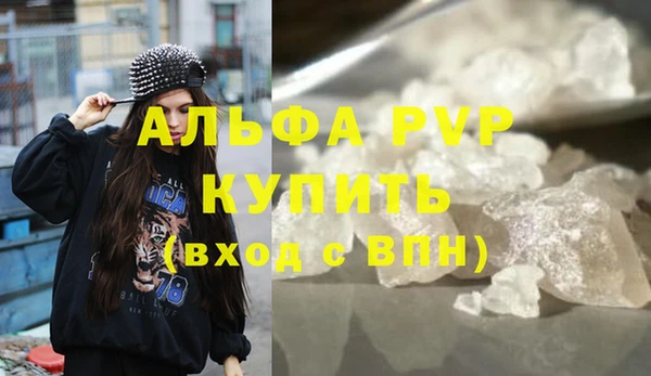 прущие грибы Вязьма