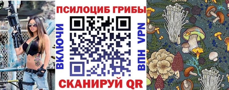 Псилоцибиновые грибы Magic Shrooms  наркошоп  Одинцово 